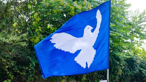 Beim Besuch des Bundeskanzlers Olaf Scholz in Düsseldorf hissten Friedenaktiviten Mitte August 2023 eine Flagge mit der Friedentaube-Fahne: "Frieden schaffen ohne Waffen". (Foto: IMAGO, IMAGO/Michael Gstettenbauer)