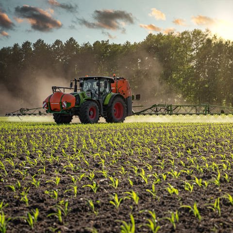 Ein Traktor verspüht das Pflanzenschutzmittel Glyphosat auf einem Feld. 