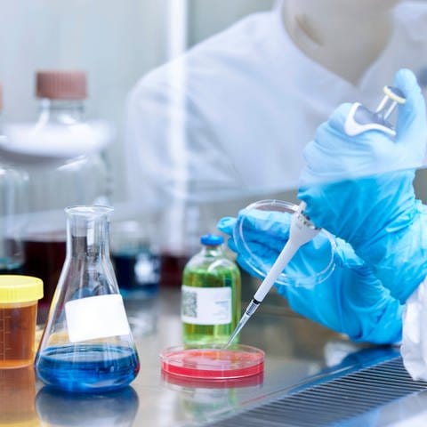 Ein Wissenschaftler pipettiert Chemikalie auf Petrischale im mikrobiologischen Labor. (Foto: IMAGO, IMAGO / Westend61)