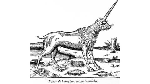 Die Figur des Camphur, ein amphibisches Tier und möglicherweise verwandt mit dem Einhorn, Äthiopien um 1570  (Foto: IMAGO, IMAGO / Gemini Collection)