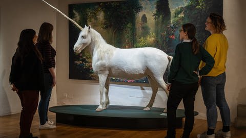 Man staunt nicht schlecht, wenn man den Raum in der Ausstellung im Schweizer Schloss Lenzburg betritt. Da steht ein makellos weißes Pferd, Kopfhöhe etwa eins achtzig, mit einem imposanten gewundenen Horn auf der Stirn. Es scheint zu lächeln. Gibt es das sagenumwobene Einhorn, das Menschen schon seit der Antike beschäftigt, also doch?  (Foto: Museum Aargau / Pascal Meier)