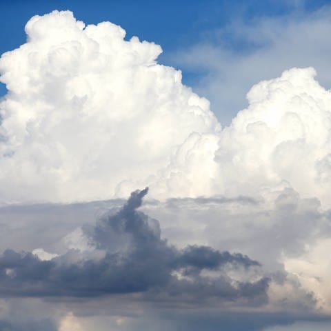 Wolkenhimmel über Iffezheim (Baden-Württemberg). Atmosphärenforscherin Mira Pöhlker und weitere Forschende versuchen herauszufinden, wie Wolken genau entstehen.