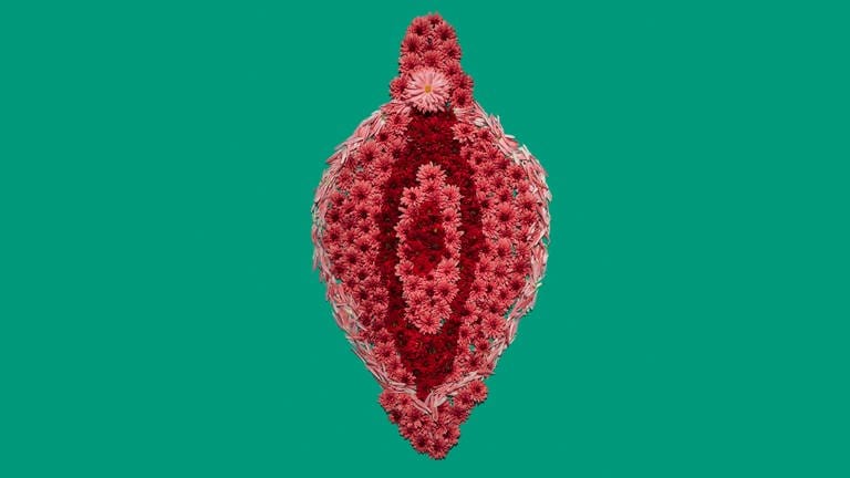 Künstlerische Darstellung einer Vulva, gestaltet aus roten Blüten auf grünem Hintergrund: Das Jungfernhäutchen, auch Hymen genannt, soll beim ersten Sex reißen wie eine Folie. Ein Irrglaube, der sich hartnäckig hält.