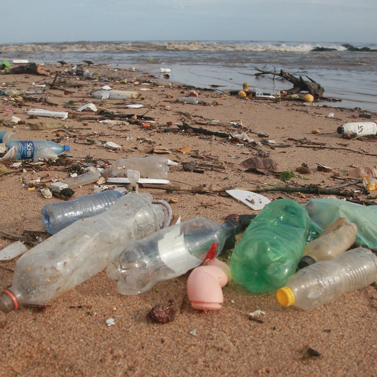 Am Strand sind Plastikflaschen und aufgehäufter Müll zu sehen. 