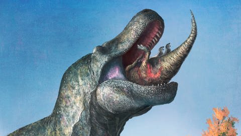 Die Illustration von Mark P. Witton zeigt einen jungen Edmontosaurus, der von einem Tyrannosaurus Rex gefressen wird. Anhand von Knochen konnten Wissenschaftler herausfinden, dass der T-Rex aktiv gejagt hat. (Foto: picture-alliance / Reportdienste, picture alliance / ASSOCIATED PRESS | Mark P. Witton)