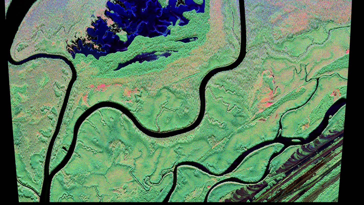 Radar-Satellitenbild des Regenwaldes, aufgenommen vom DLR-Forschungsflugzeug, welches Daten sammelt um die Waldbiomasse zu ermitteln. (Foto: picture-alliance / Reportdienste, picture alliance/dpa/DLR | DLR)