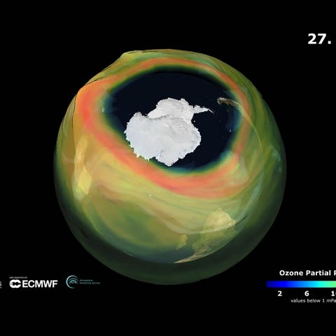 Die grafische Darstellung eines Ozonlochs über der Antarktis zeigt dieses in seiner Ausdehnung (Foto: picture-alliance / Reportdienste, picture alliance/dpa/Copernicus Atmosphere Monitoring Service, ECMWF | -)