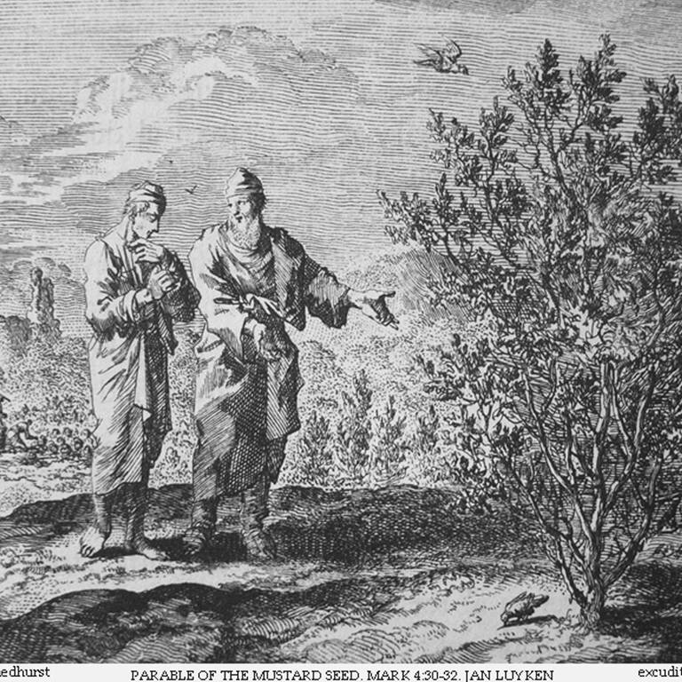 Radierung von Jan Luyken aus der Bowyer Bibel zum Gleichnis vom Senfkorn. 17. Jahrhundert. (Foto: Philipp Medhurst/Lizenz Freie Kunst, Rechte Frei/Wikimedia Commons)