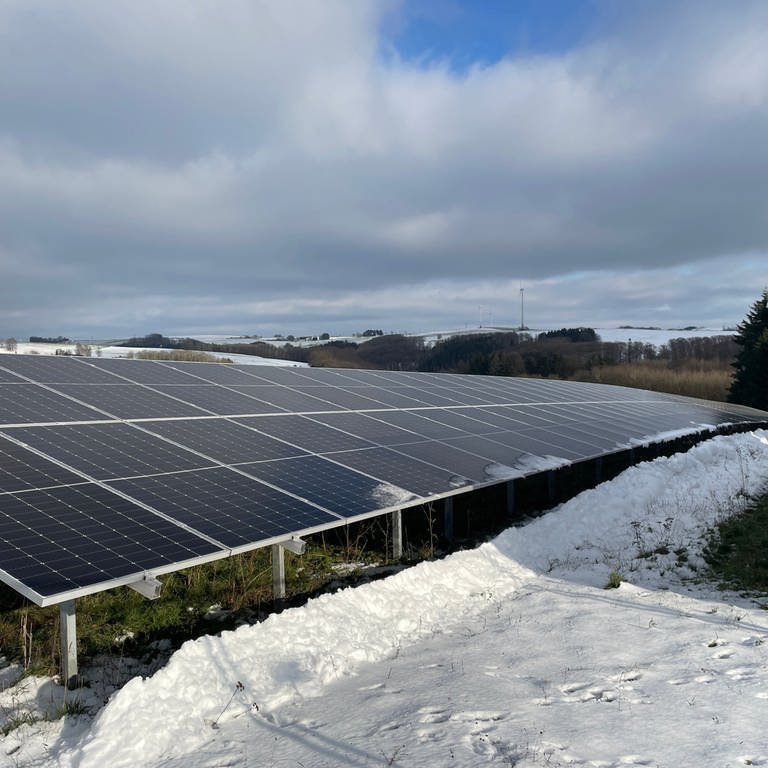 Solarpark von Rheinland-Pfalz entsteht in der Südeifel (Foto: SWR, Christian Altmayer)