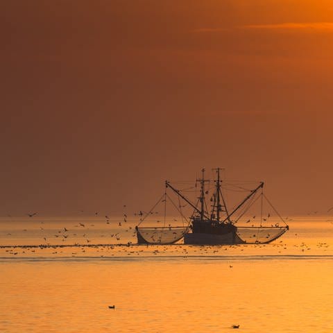 Ein Fischkutter im Sonnenuntergang.