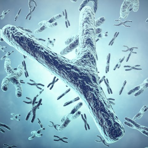 Y Chromosome in the foreground, a scientific concept. 3d illustration. Symbolfoto (Foto: IMAGO, agefotostock)