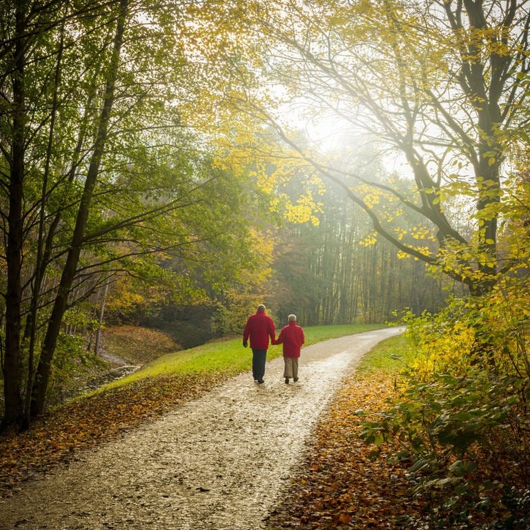 Seniorenpaar beim Herbstspaziergang durch den Wald (Foto: picture-alliance / Reportdienste, picture alliance / Shotshop | K-H Spremberg)