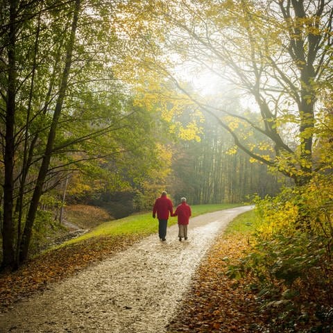 Seniorenpaar beim Herbstspaziergang durch den Wald