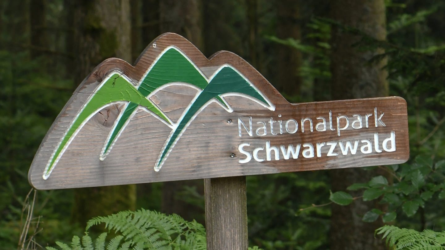Schild Nationalpark Schwarzwald (Foto: picture-alliance / Reportdienste, picture alliance / Winfried Rothermel | Winfried Rothermel)