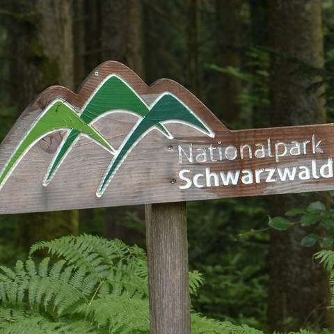 Schild Nationalpark Schwarzwald  (Foto: picture-alliance / Reportdienste, picture alliance / Winfried Rothermel | Winfried Rothermel)