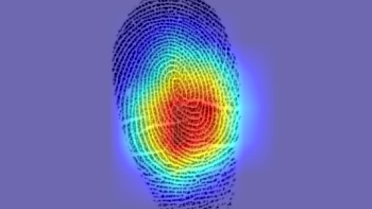 KI-Analyse von Fingerabdrücken (Foto: Gabe Guo, Columbia Engineering)