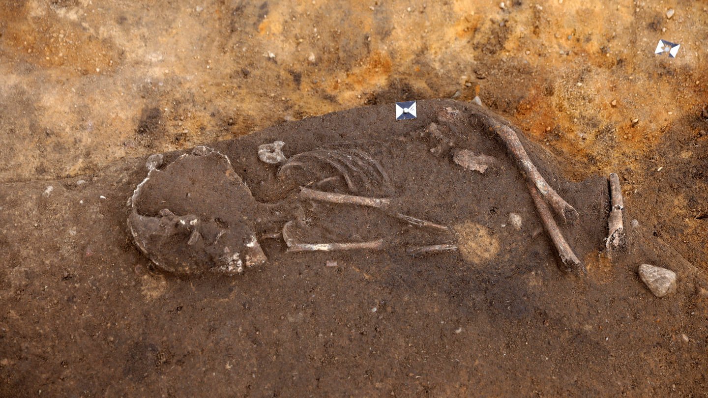 Skelett liegt ausgegraben in der Erde (Foto: IMAGO, IMAGO / Steffen)