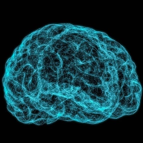 Röntgenbild des menschlichen Gehirns auf dunklem Hintergrund. 3D-Illustration