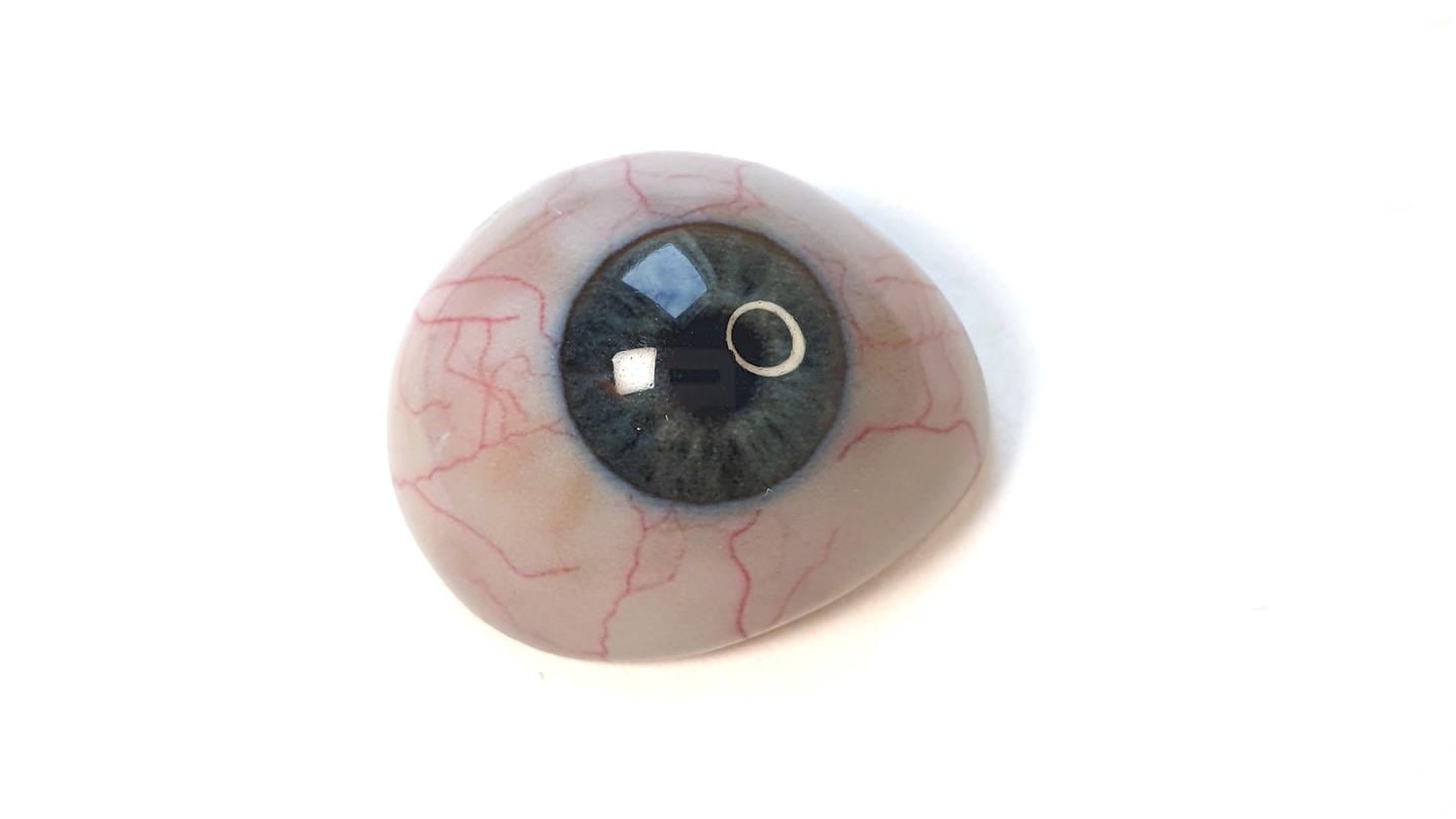 Auge aus einem 3-D-Drucker (Foto: Johann Reinhard, Fraunhofer IGD)