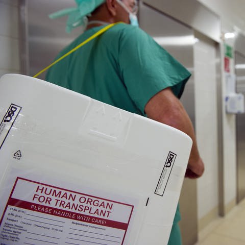 Ein Styropor-Behälter zum Transport von zur Transplantation vorgesehenen Organen wird am Eingang eines OP-Saales vorbei getragen. 