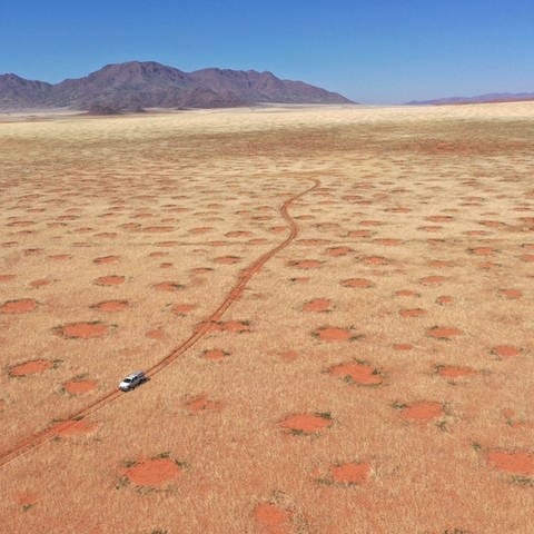 Drohnenaufnahme eines Autos im NamibRand-Naturreservat, eine der Feenkreisregionen in Namibia.