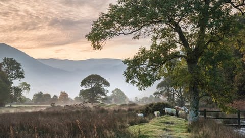Landschaft und Natur im Lake District  England empfinden viele Menschen als ästhetisch. Aber wann genau sind Landschaften schön? 