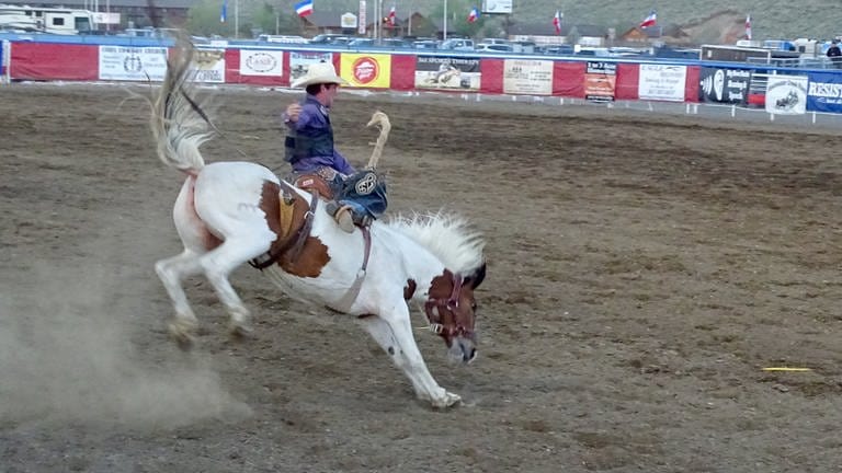 Das Rodeo und der Mythos Cowboy: Die Arena in Cody  Wyoming (Foto: SWR, Arthur Landwehr)