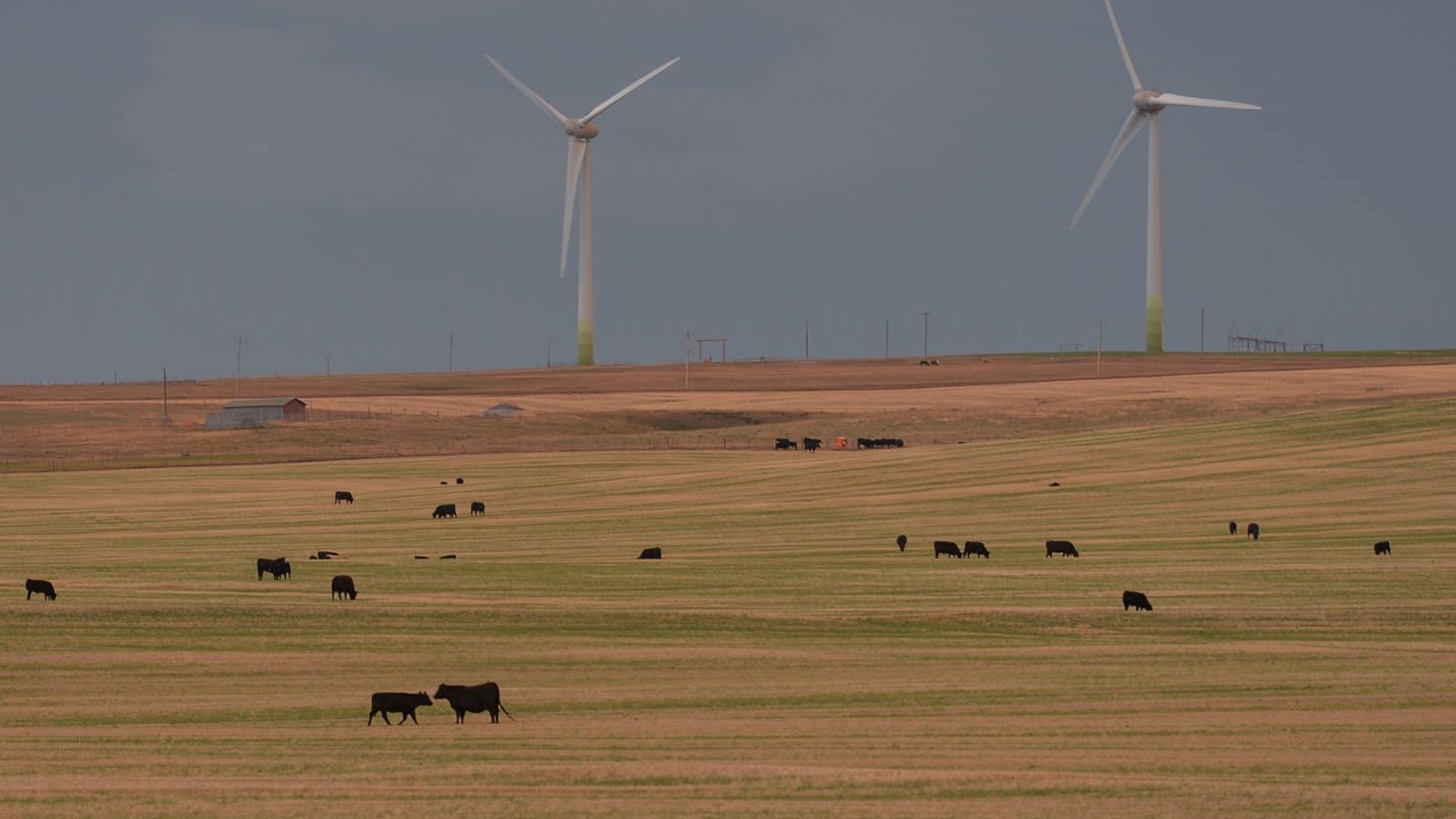 Wind Turbines Kanada (Foto: picture-alliance / Reportdienste, picture alliance / NurPhoto | Artur Widak)