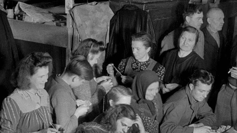 Flüchtlinge in der Baracke 5 im Wohnlager Allach-Ost  München am 27.4.1949 (Foto: IMAGO, IMAGO / Rolf Poss)