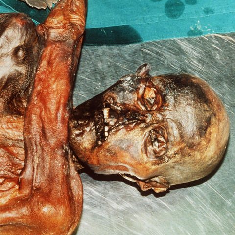 Die mumifizierte, rund 5000 Jahre alte Leiche "Ötzi", die am 19. September 1991 im Gletschergebiet der südtiroler Alpen von deutschen Urlaubern gefunden wurde (Archivbild vom September 1991)