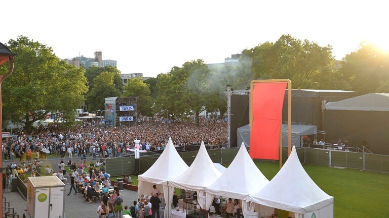 Milow beim SWR3 Open Air in Mainz (Foto: SWR, Ben Pakalski)