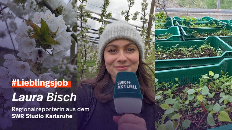 Regionalreporterin Laura Bisch aus dem SWR Studio Karlsruhe hat einen Lieblingsjob