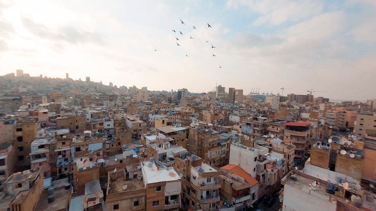 Taubenschwarm dreht seine Kreise über Beirut  (Foto: SWR, FFL/Jonas Schneider)