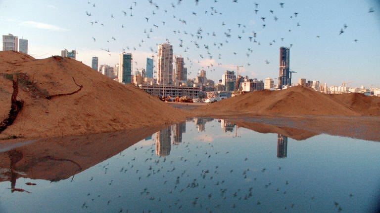 Tauben über dem Krater, den die Explosion im Beiruter Hafen hinterlassen hat