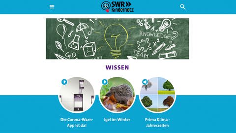 Online Seite SWR Kindernetz.  (Foto: SWR)