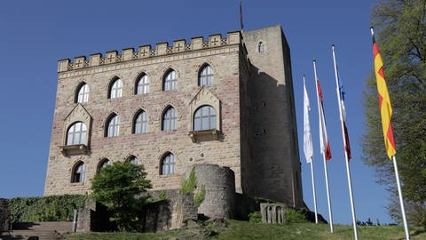 Das Hambacher Schloss, die Wiege der deutschen Demokratie (Foto: SWR)