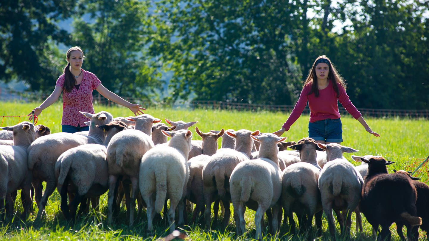 Paulina (Tabea Hug) und Leo (Phillis Lara Lau) müssen die Schafe mit Händen und Füßen wieder eintreiben. © SWR/Maria Wiesler (Foto: SWR, Maria Wiesler)
