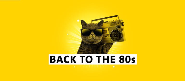 Teaserfoto des Kampagnenmotivs SWR1 "Back to the 80s" zeigt die SWR1 Hit Cat mit Radio auf der Schulter (Foto: SWR, Beaufort8)