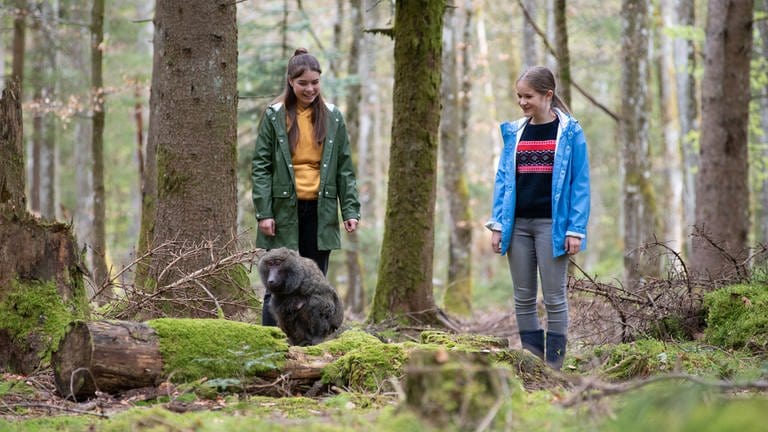 Lucy (Paulina Schnurrer) und Leo (Phillis Lara Lau) haben den Pavian im Wald entdeckt (Foto: SWR, Maria Wiesler)