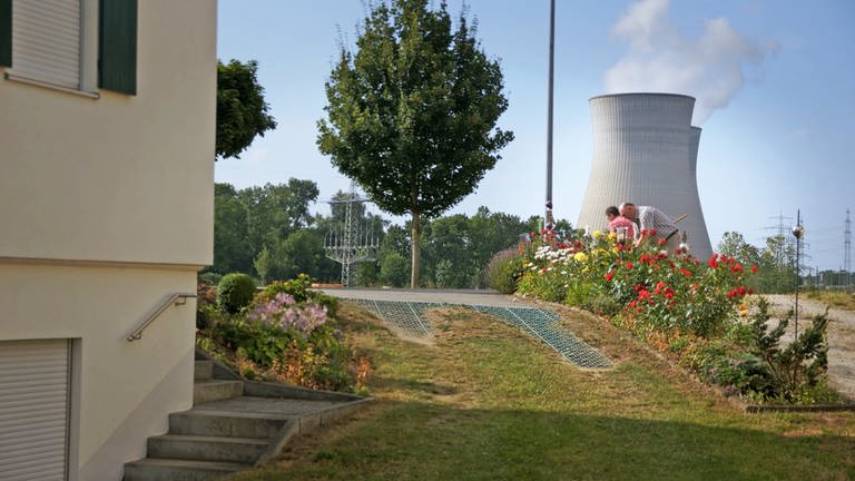 Anwohner des Kernkraftwerkes Gundremmingen in Bayern beim Rosenschneiden