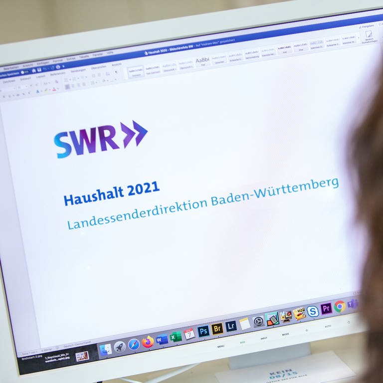 Im Fokus der Beratung: Haushalt 2021 des Landessenders Baden-Württemberg © SWRThorsten Hein (Foto: SWR)