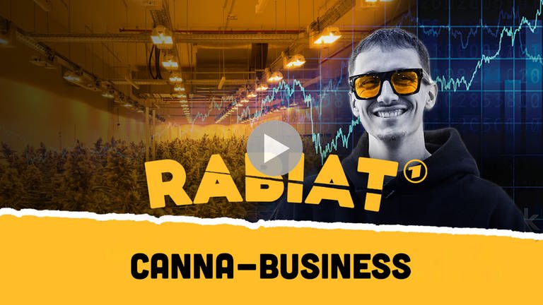 Keyvisual mit dem Titel: "Rabiat: Canna-Business" zeigt eine Fotomontage mit Rapper und Unternehmer Marvin Game mit gelbglasiger Sonnenbrille. Im Hintergrund eine Cannibis-Zucht in einer Halle mit Pflanzenbeleuchtung. (Foto: SWR, Antoine Wendels)