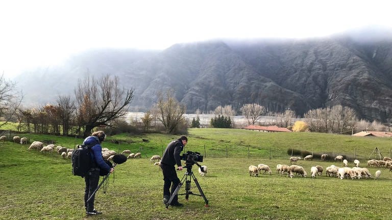 Dreharbeiten auf einer Weide im Piemont, Italien.