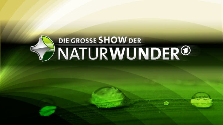Das Logo der großen Show der Naturwunder