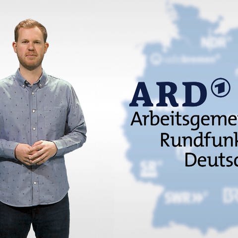 Martin Schmidt erklärt die ARD (Foto: SWR)