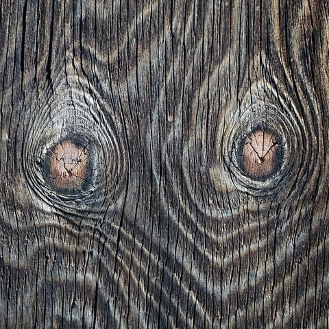 Holzmaserung in einem Brett (Foto: IMAGO, imago/Steinach)
