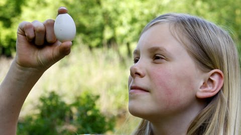 Ein Mädchen beobachtet ein befruchtetes Hühnerei im Gegenlicht (Foto: IMAGO, imago images / blickwinkel)