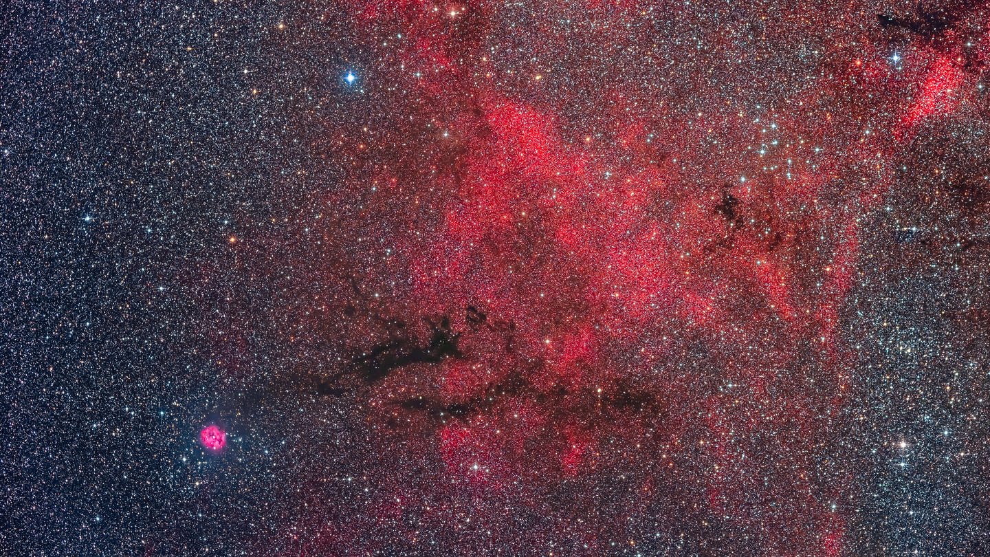 Mehrere Arten von Deep-Sky-Objekten sind hier vertreten: ein Emissionsnebel, dunkle Nebel und Sternhaufen in diesem reichen Feld in Cygnus. (Foto: IMAGO, IMAGO / VWPics)