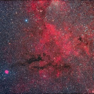Mehrere Arten von Deep-Sky-Objekten sind hier vertreten: ein Emissionsnebel, dunkle Nebel und Sternhaufen in diesem reichen Feld in Cygnus.  (Foto: imago images, IMAGO / VWPics)