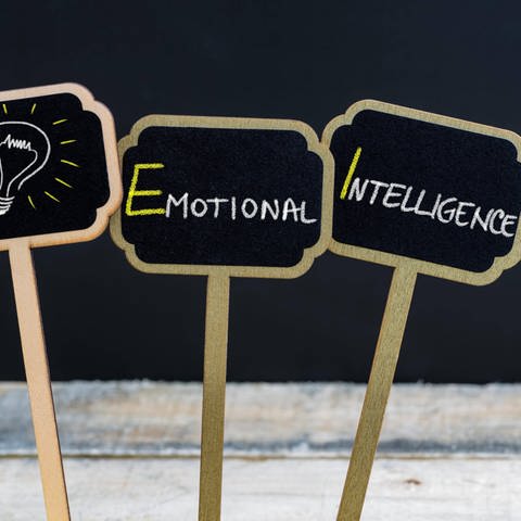 Emotionale Intelligenz - Schrift auf Kreidetafeln (Foto: IMAGO, imago images / Panthermedia)